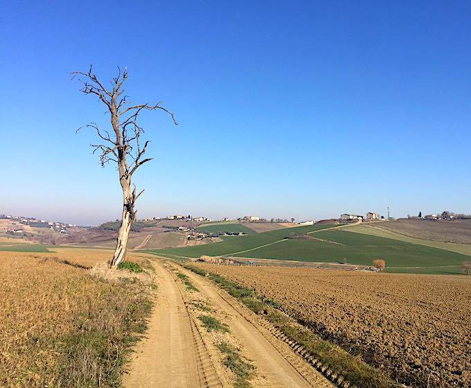 la RUBE’: Asfalto, Pavè e Strade Bianche tra Romagna e Marche.